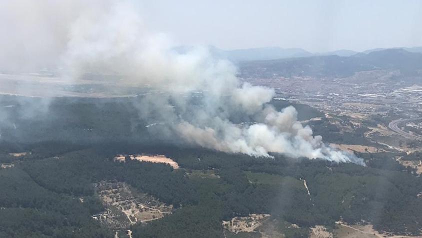 İzmirde çıkan orman yangını kontrol altına alındı