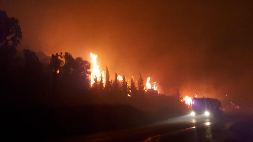 İzmir’de makilik alandaki yangın kontrol altına alındı