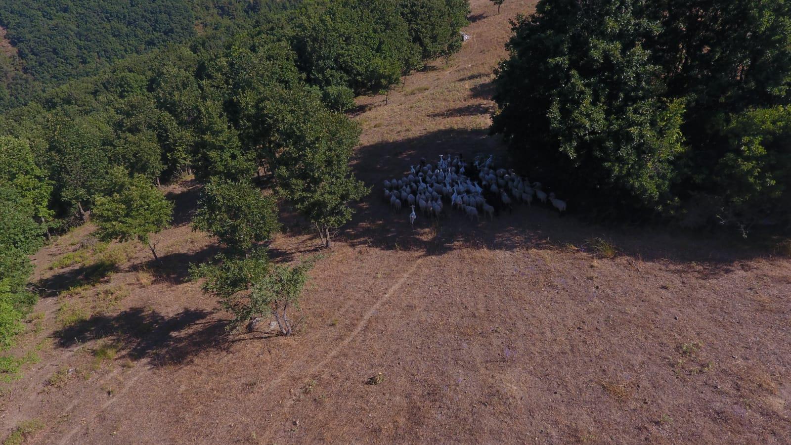 2 km uzaklıkta drone sayesinde bulundular