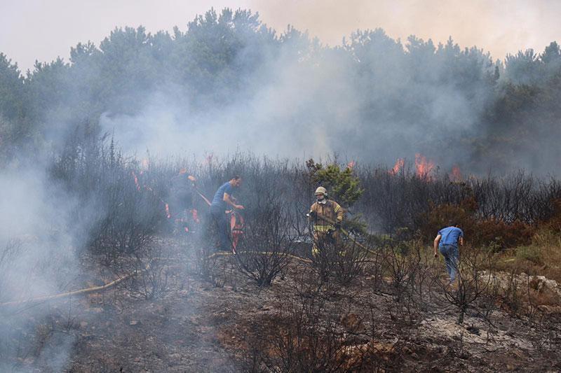 Son dakika İstanbul Kartalda orman yangını