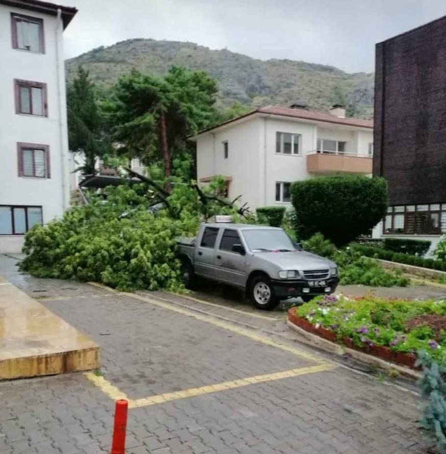 Amasya’da şiddetli rüzgar ağaçları devirdi, araçlara hasar verdi