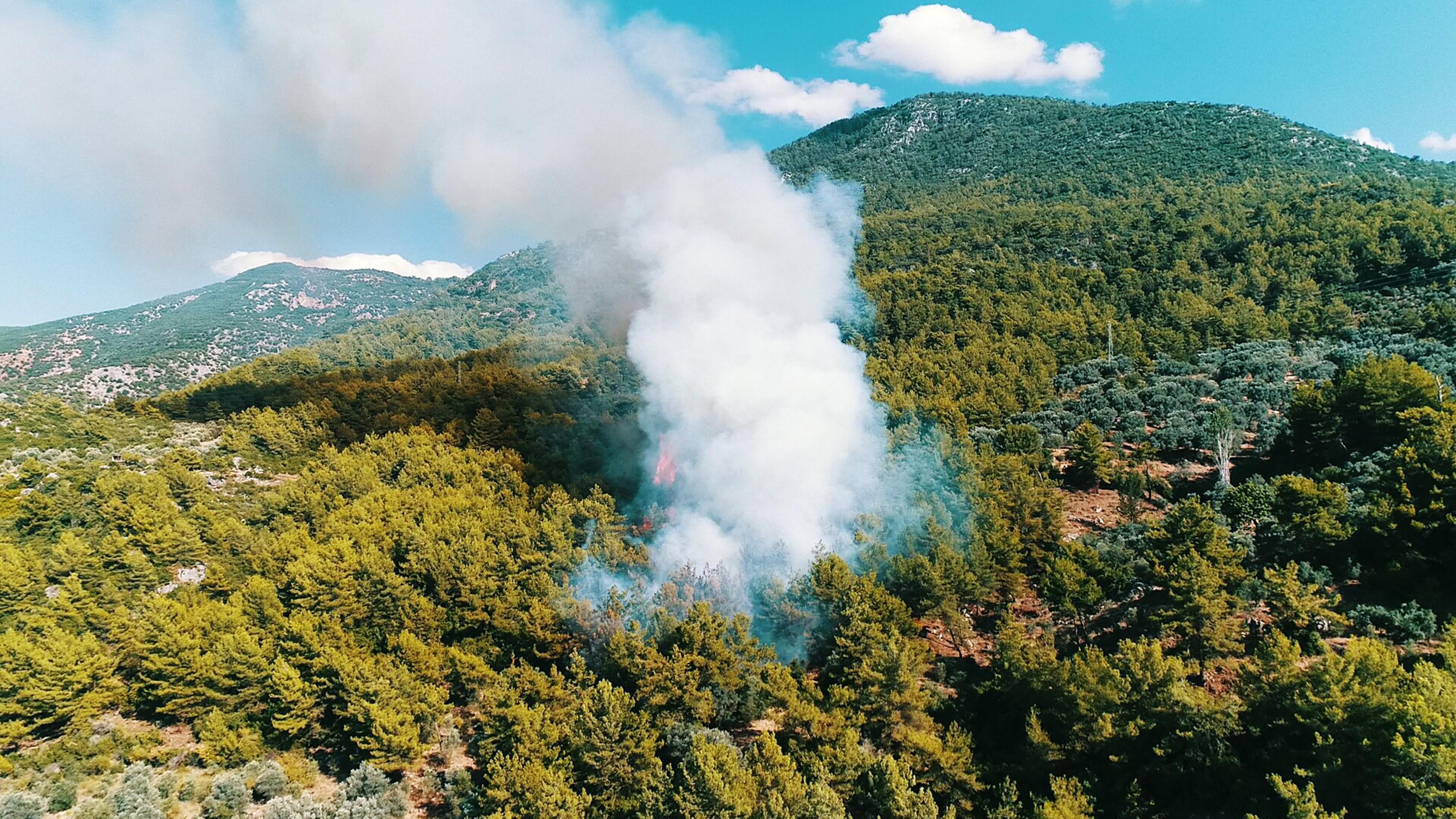 Fethiye’deki orman yangını söndürüldü