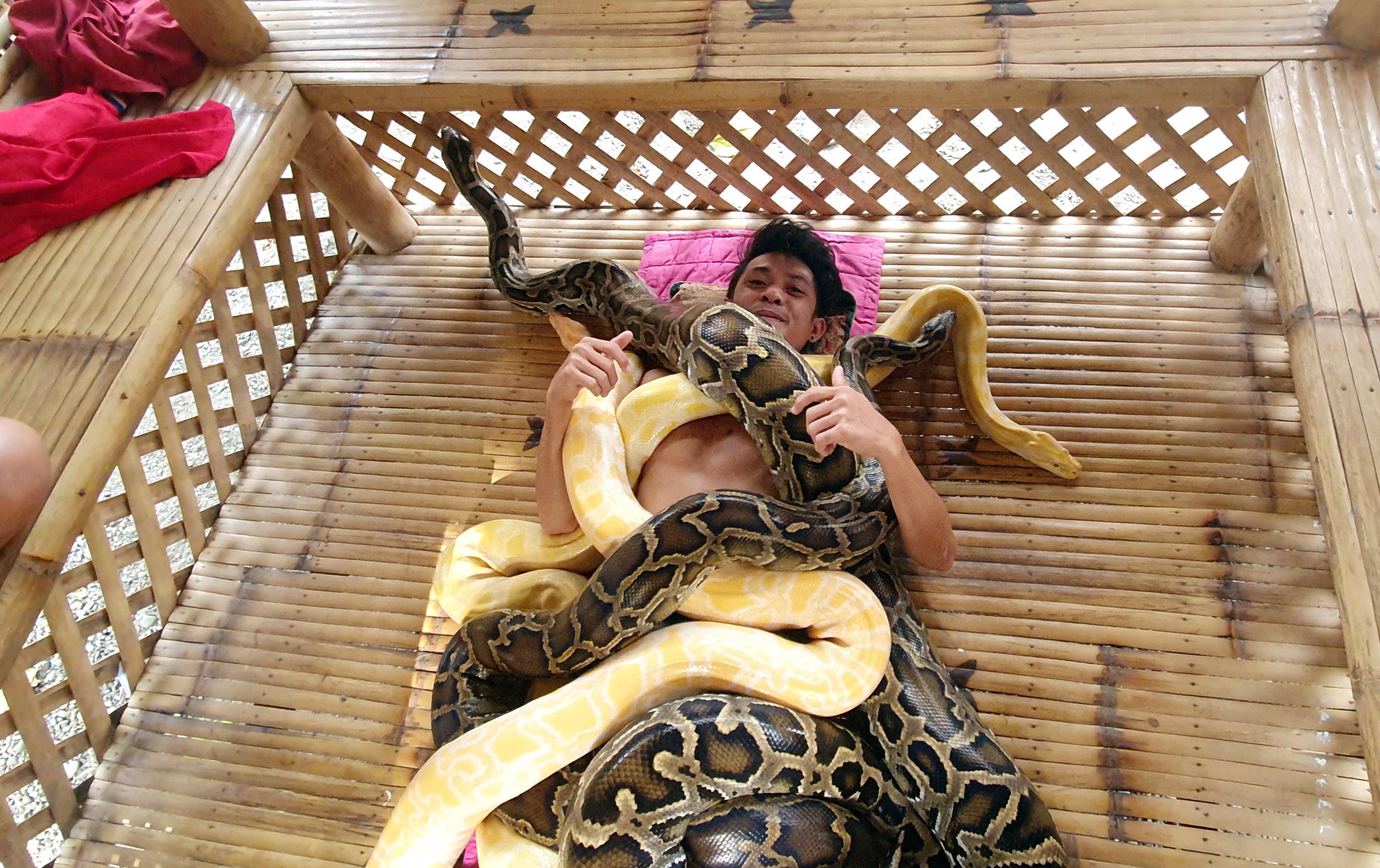 Filipinlerde turistlere yılan masajı