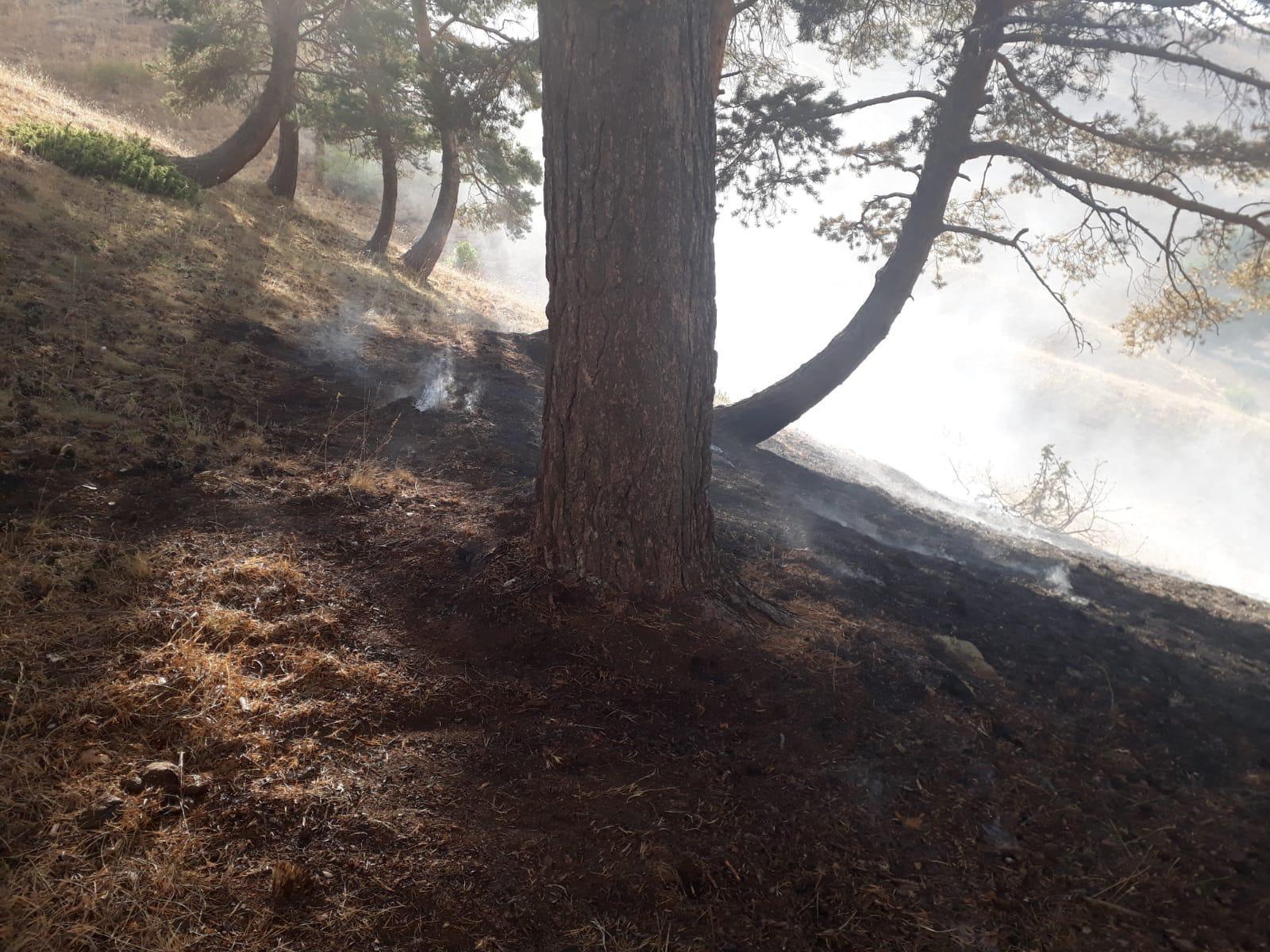 Orman yangını 3 saat sonunda söndürüldü