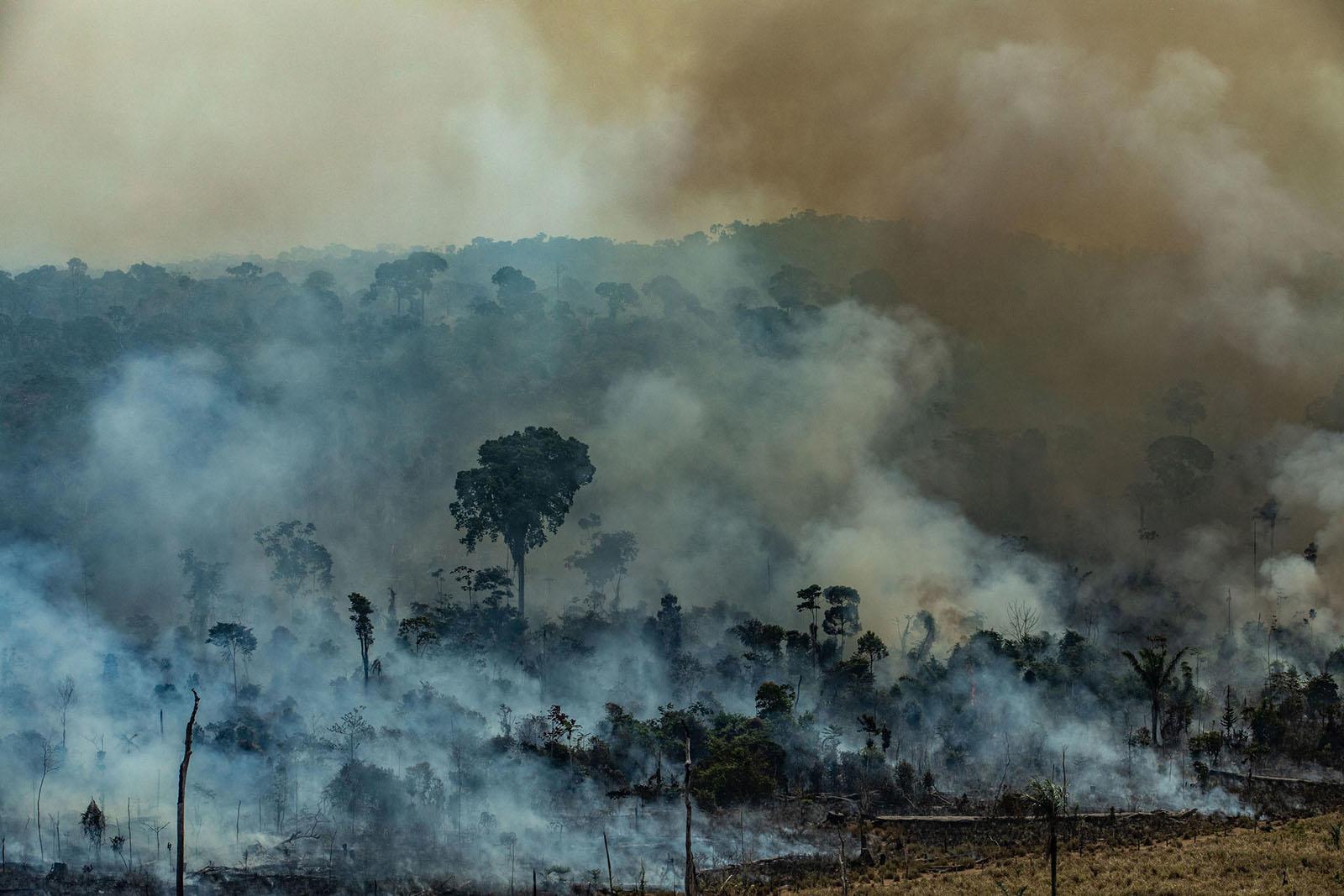 NASA verileri Amazonlarda yangın yoğunluğunun rekor düzeye ulaştığını gösteriyor