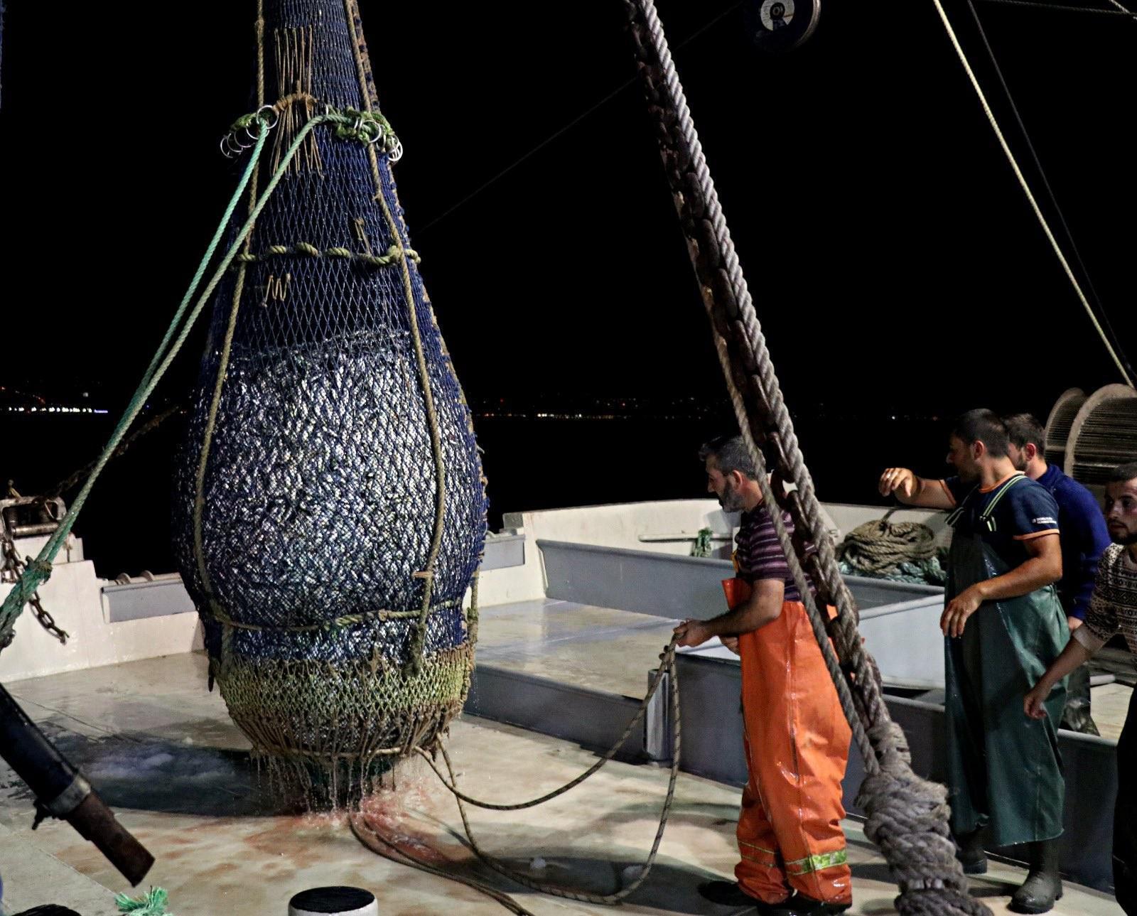 Samsunlu balıkçılar denizden 120 kasa istavritle döndü