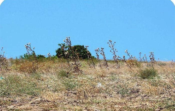 Çanakkalede 104 yıldır kayıp olan Kumkale Şehitliği bulundu