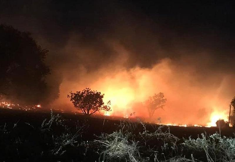Muğla’da yıldırım düşmesi sonucu orman yangını çıktı