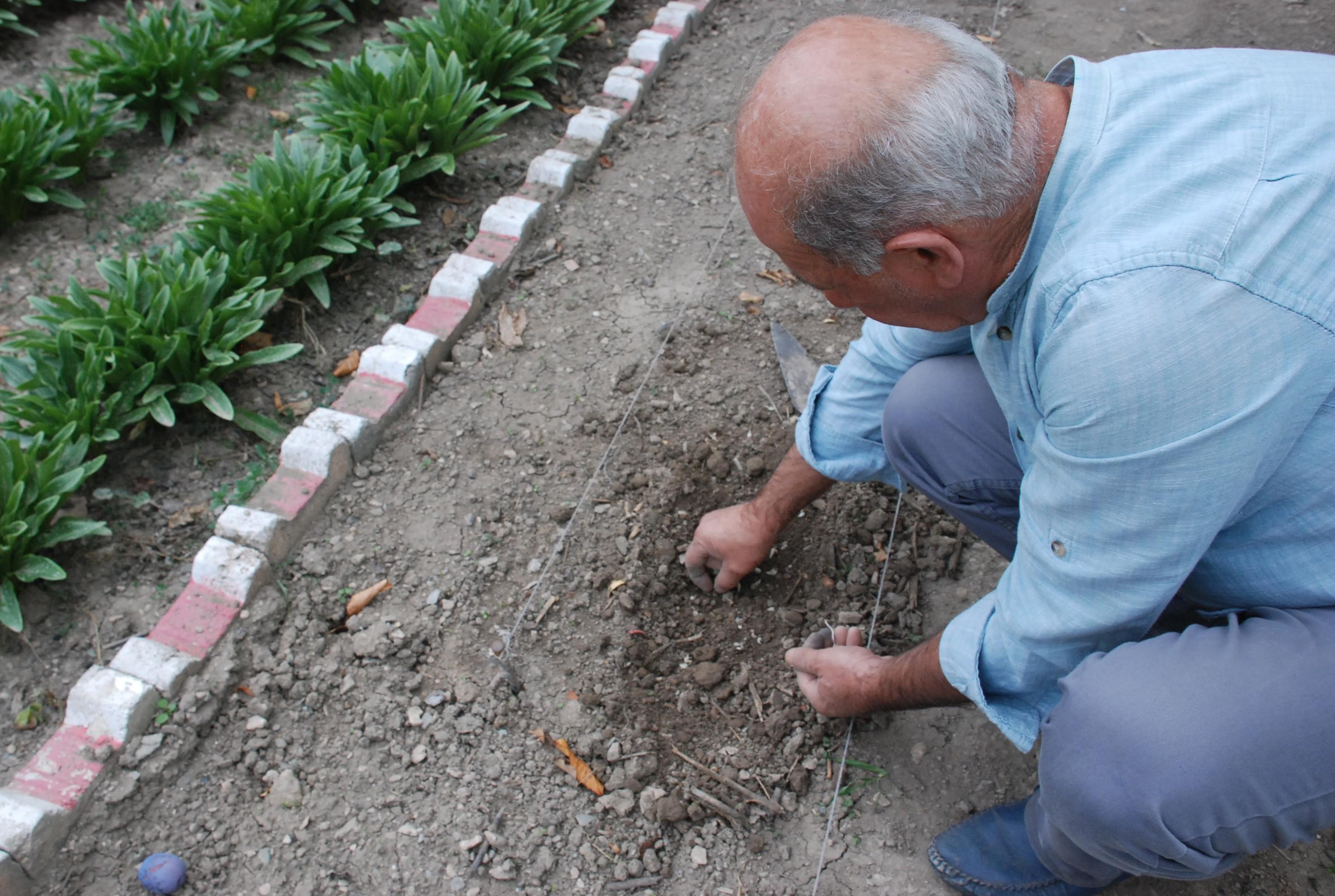 Akzambağın çiçeği ayrı soğanı ayrı para ediyor