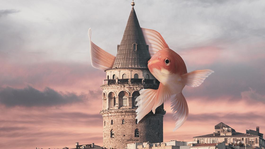 İstanbulun simgelerini fantastik tasarımlarla anlatıyor