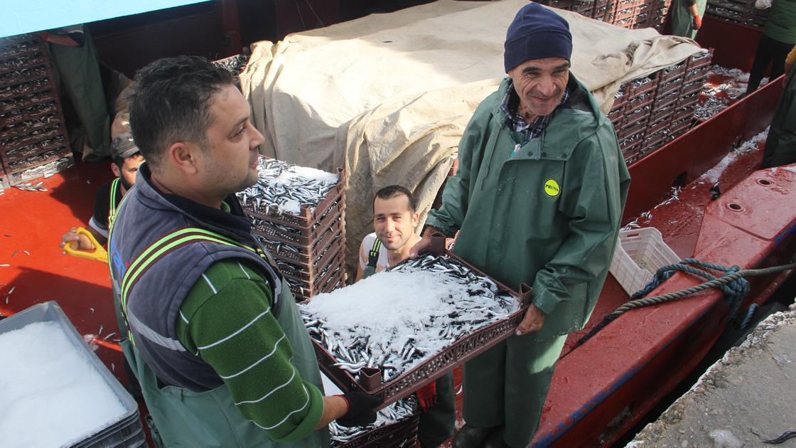 Balıkçı tekneleri hamsi dolu ambarlarla limana dönüyor