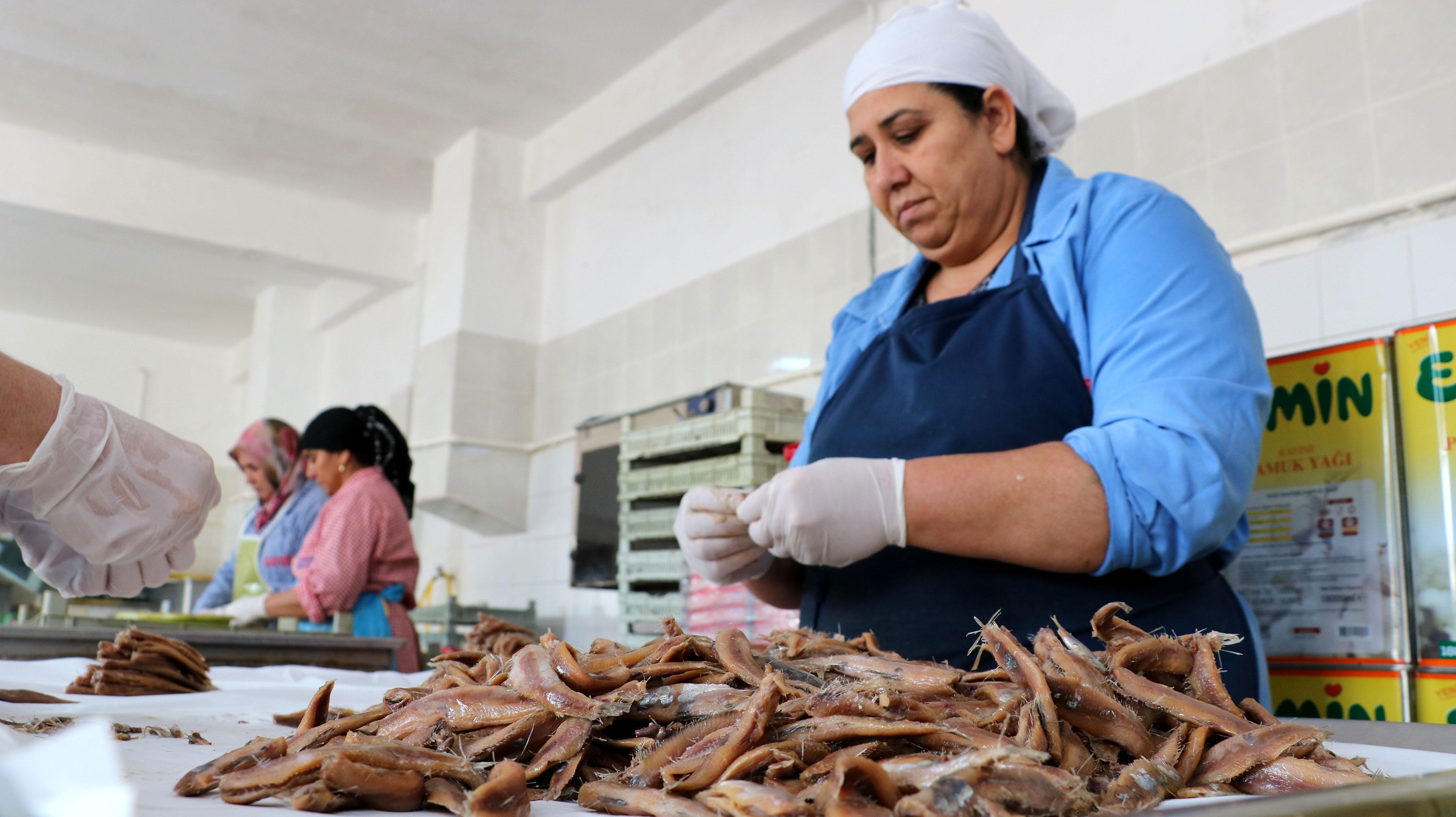 Sofraların 200 yıllık vazgeçilmez lezzeti: Tuzlu balık sardalya