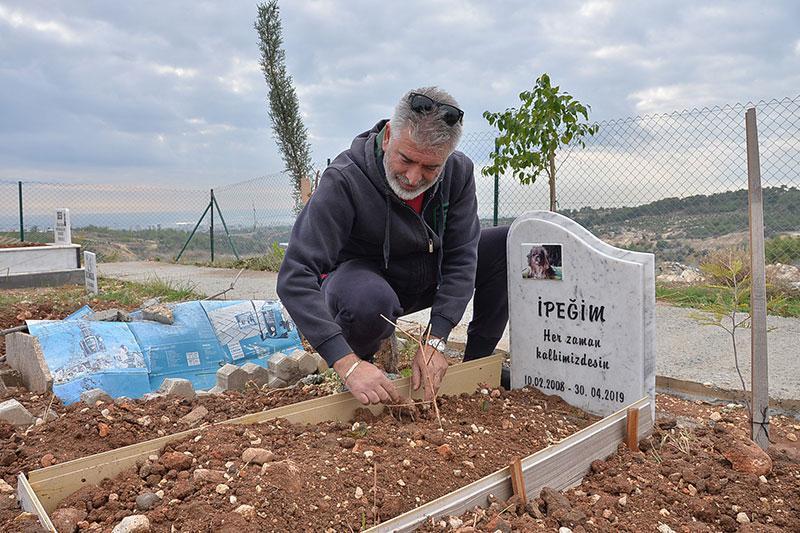 Mersinde deniz manzaralı hayvan mezarlığı ücretsiz hizmet veriyor