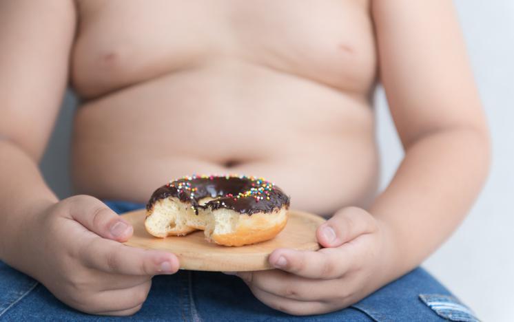 Çocukluk çağı obezitesini önlemenin yolları ve çocuklar için örnek beslenme programı