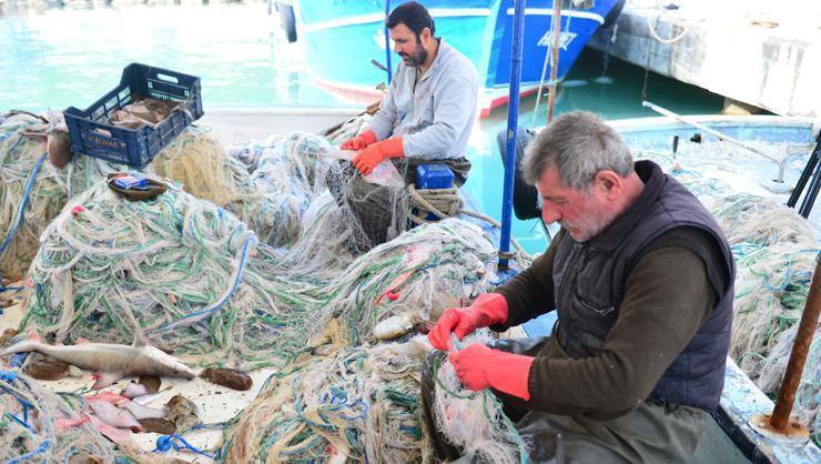 İnsan yüzlü sapan balığı balıkçıların kabusu oldu