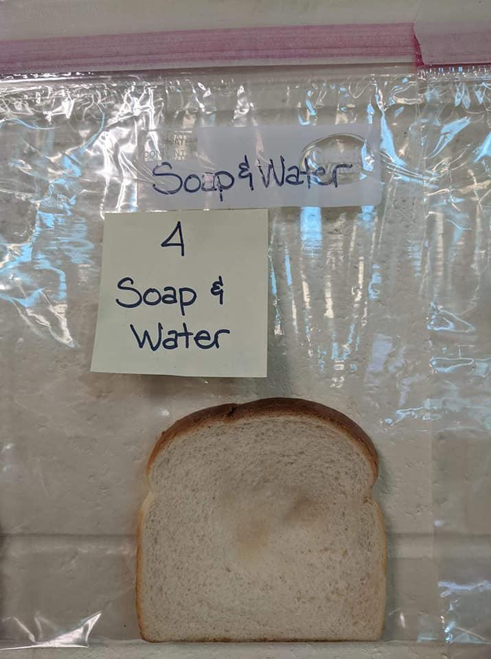 Çocuklar için basit bir ekmek deneyi: Elleri yıkamak neden önemli