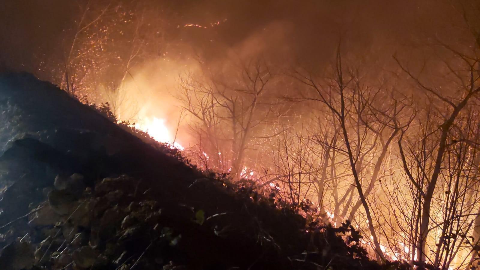 Trabzondaki yangınlar sonrası kriz merkezi oluşturuldu