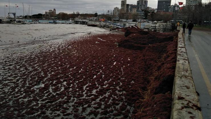 İstanbulda şaşırtan görüntü Sahil kızıla büründü