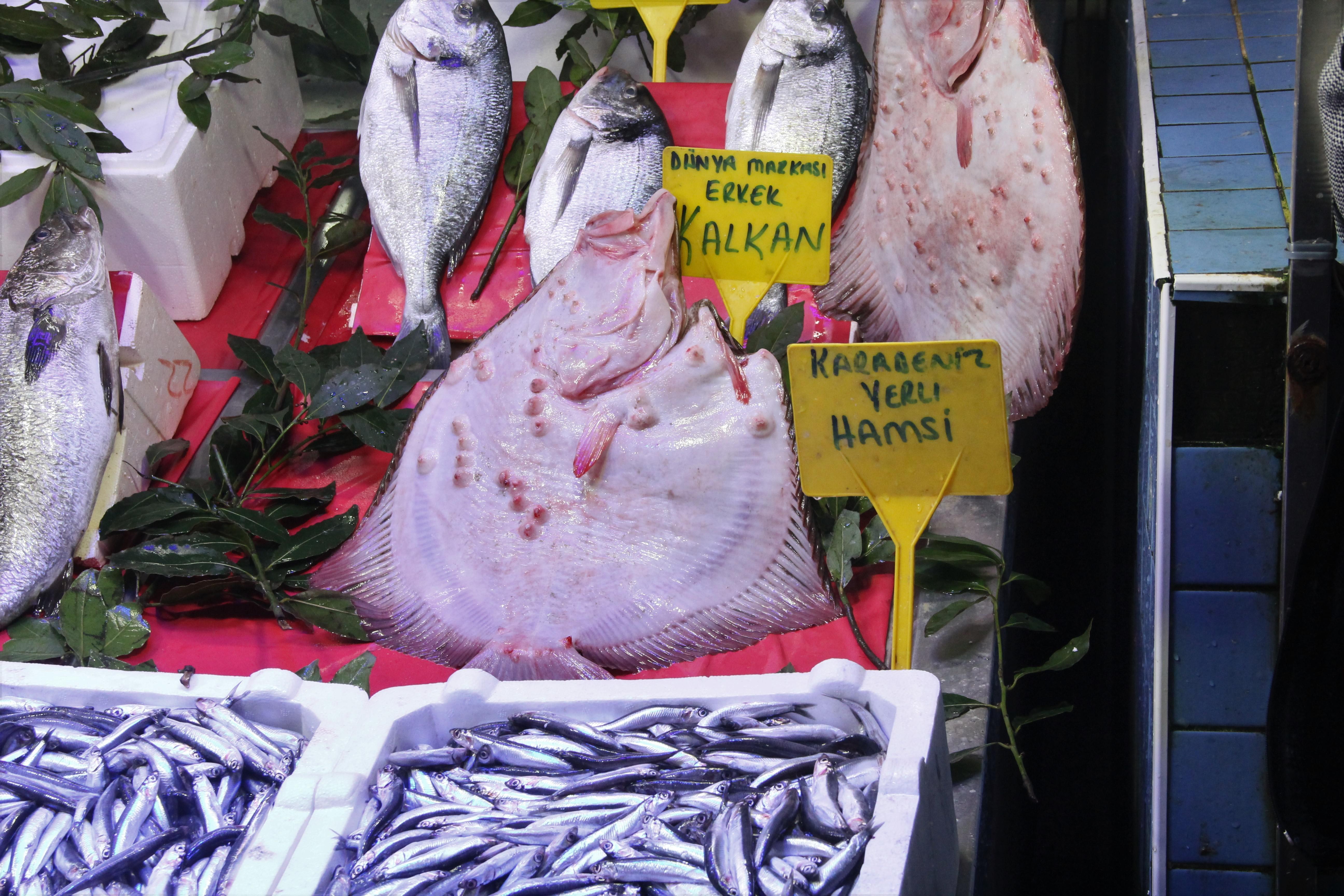 Kalkan balığının fiyatı rekor kırdı