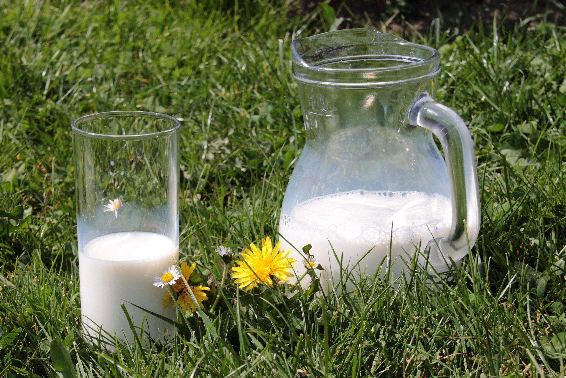 Doğru proteinin sırrı günde 2 bardak süt