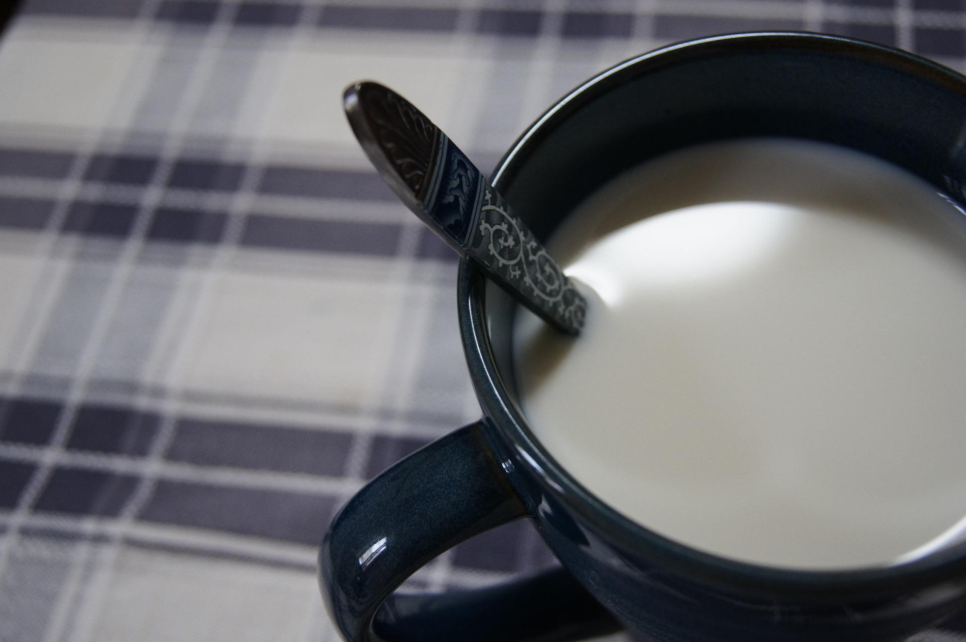 Doğru proteinin sırrı günde 2 bardak süt