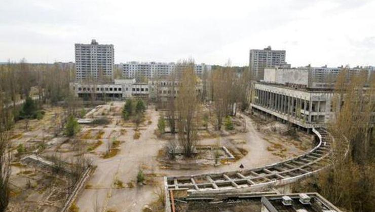 Çernobil faciasından kurtulan mantarlar ilaca dönüştürülecek