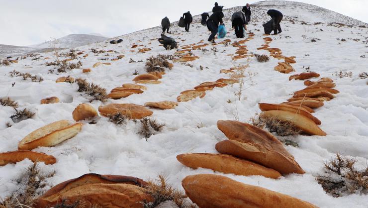 Erzurum esnafı doğal afetlerden sonra doğaya 2001 ekmek bıraktı