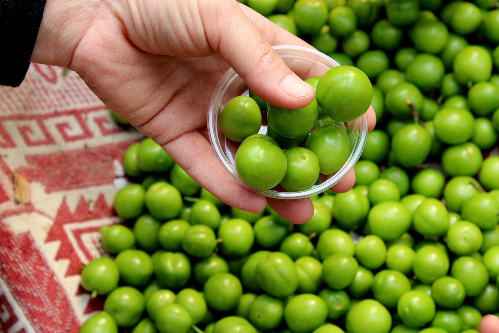 Antalya toptancı halinde yeşil eriğin kilosu 750 lira