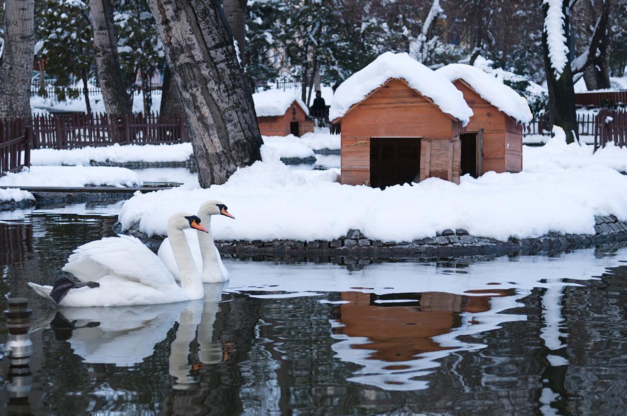 Ankara turistik yerler