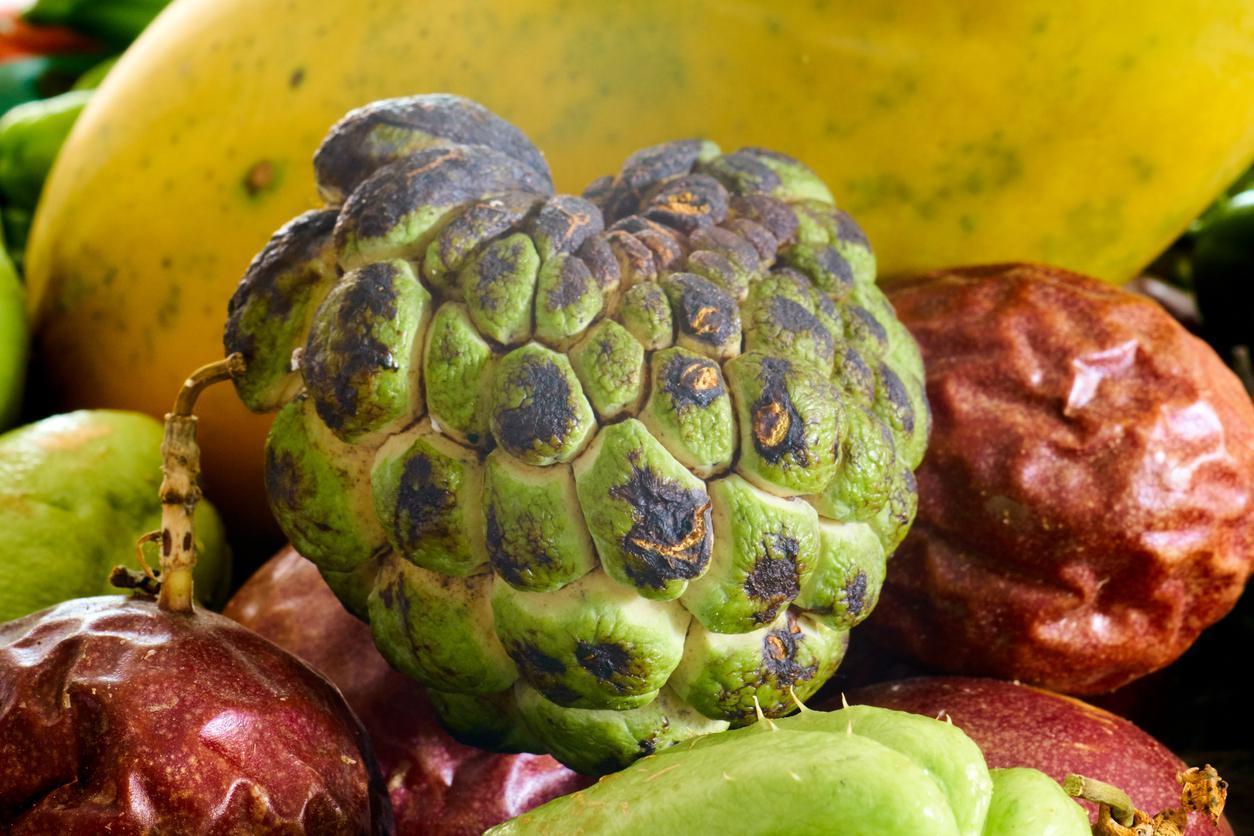 Yeni trend tropikal meyve yetiştiriciliği: Düşük maliyetle lezzetli kazanç