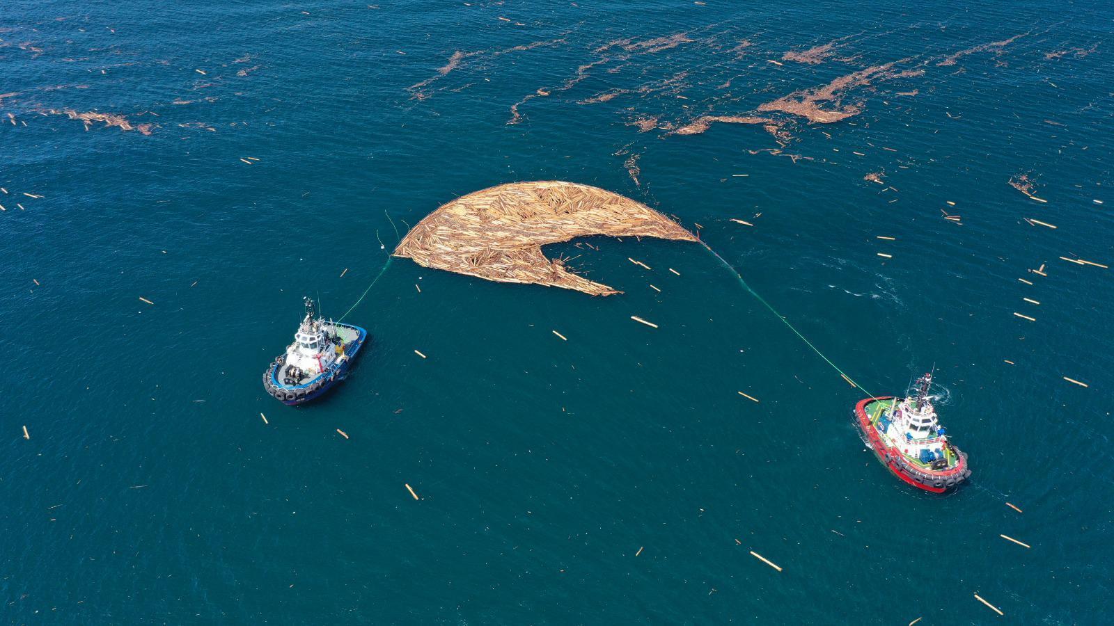 Karadenizde sel sonrası sürüklenen tomruklar toplanıyor Balıkçılar tedirgin