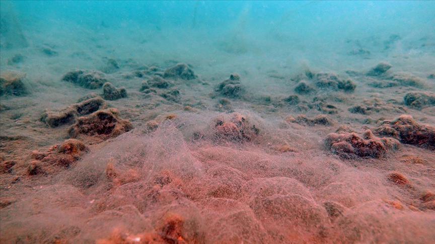Kritik uyarı: Marmara Denizi artık bu kirlilik yükünü taşıyamıyor