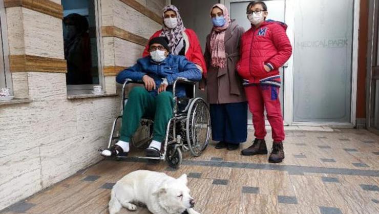 Sahibi tedavi gören köpek, 5 gündür hastanenin kapısından ayrılmıyor