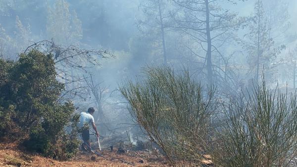 Son dakika: Muğlada yangın yeniden büyüdü Köyceğizdeki yangına rüzgar etkisi