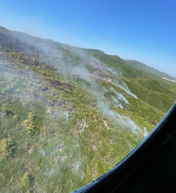 Milasta 9 gündür yangın var Yeniköy Termik Santralinde önlemler artırıldı