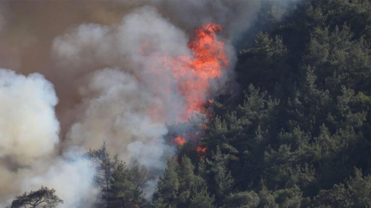 Son dakika: Bir orman yangını daha Muğlanın Dalaman ilçesinde yangın çıktı