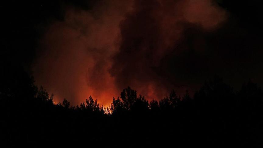 Muğla, Antalya, Hatay, Isparta, Aydın Orman yangınlarında son dakika gelişmeleri