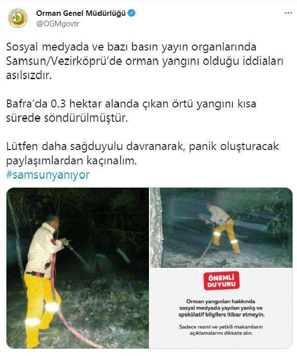 Ankara ve Samsundaki orman yangını iddiaları ‘asılsız’ çıktı