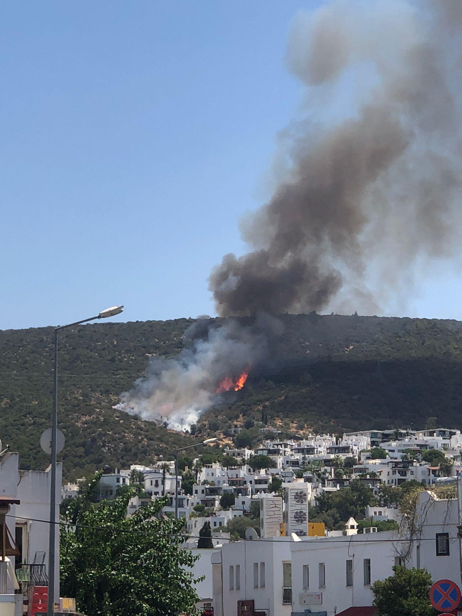 Yangınlar nerelerde devam ediyor Manavgat ve Bodrum yangınında son durum...