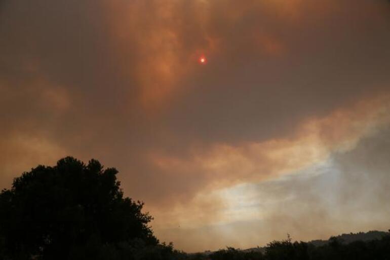 Son dakika: Antalya Manavgatta orman yangını Fotoğraflar çok acı..