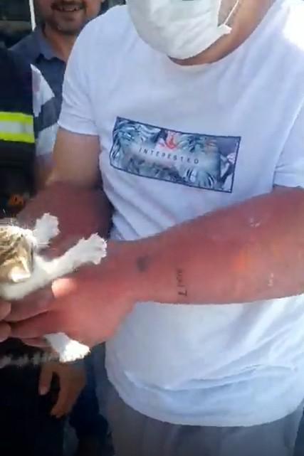 Kuşadası kedi yavrusu için ayağa kalktı