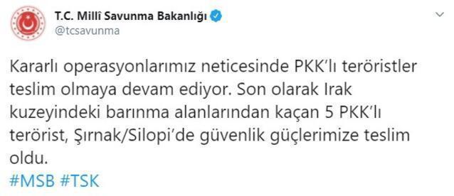 5 PKKlı terörist Silopide teslim oldu