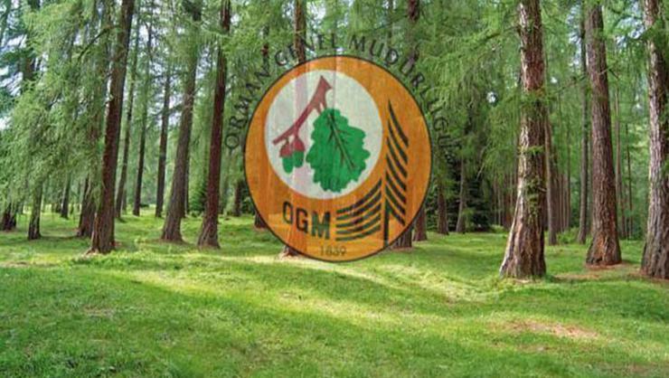 Orman Genel Müdürlüğü 2083 personel alımı başvuruları başladı: OGM 2083 personel alımı başvuru şartları neler
