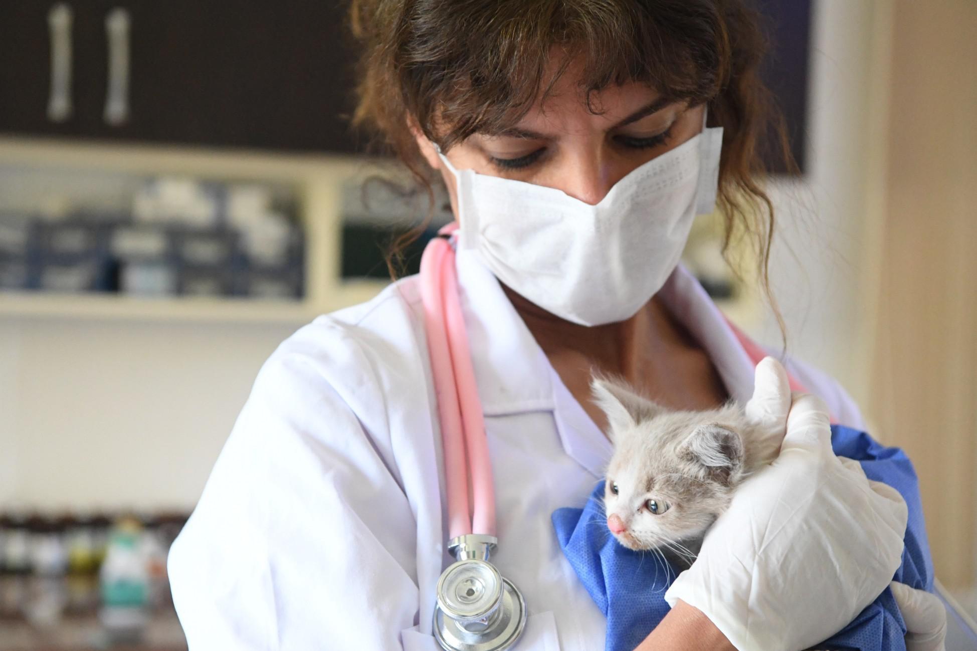 Kanalizasyon borusuna sıkışan kedi yavrusu kurtarıldı