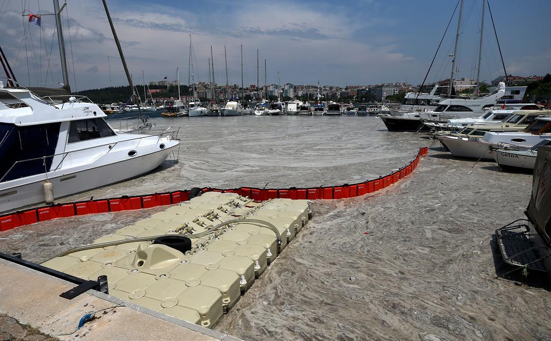 Marmara Denizi müsilajdan nasıl kurtulacak Bakan Kurum açıkladı