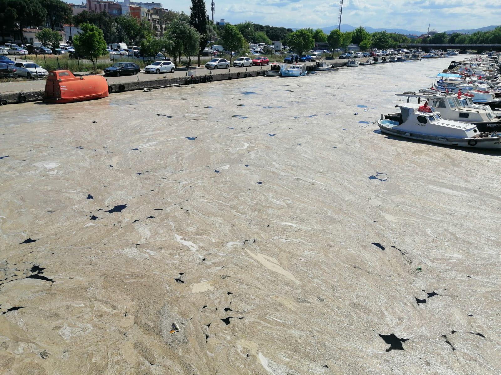 Müsilaj için korkutan açıklama: 15 metre kalınlıkta Ege Denizine doğru akıyor