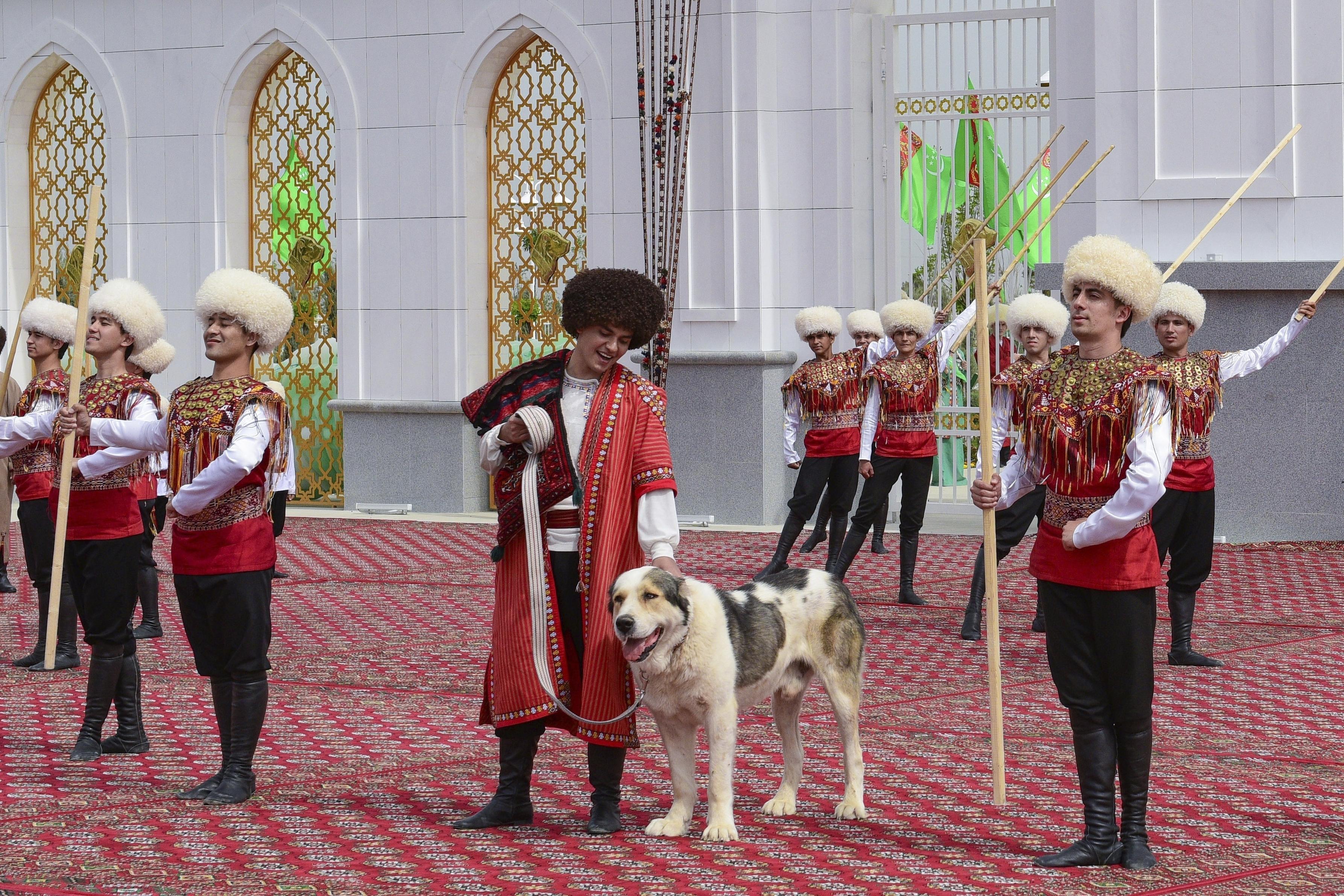 Türkmenistanda yerli çoban köpeği türü Alabaylar onuruna ulusal tatil