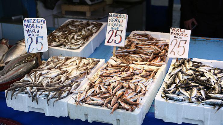 Hamsi avının durdurulması balığın fiyatını artırdı