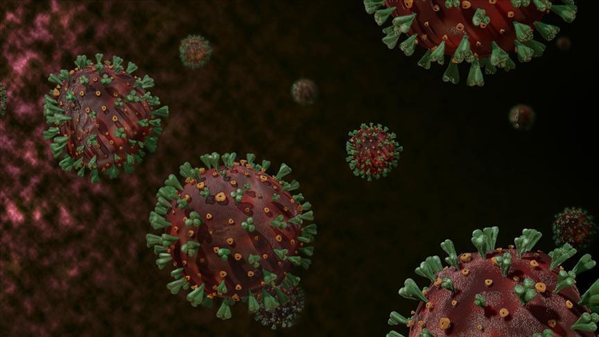 Korkutan araştırma Koronavirüsün daha tehlikeli ve bulaşıcı yeni bir türü bulundu