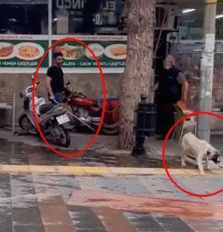 Köpeği fırça sapıyla döven kişiye para cezası kesildi